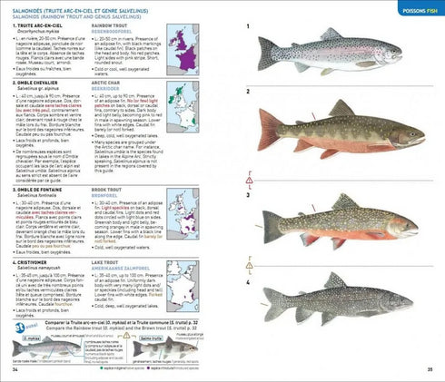 Identifying Animals, All Verterates of France, Benelux, Great Britain and Ireland - Geniez,M. ym. 2012